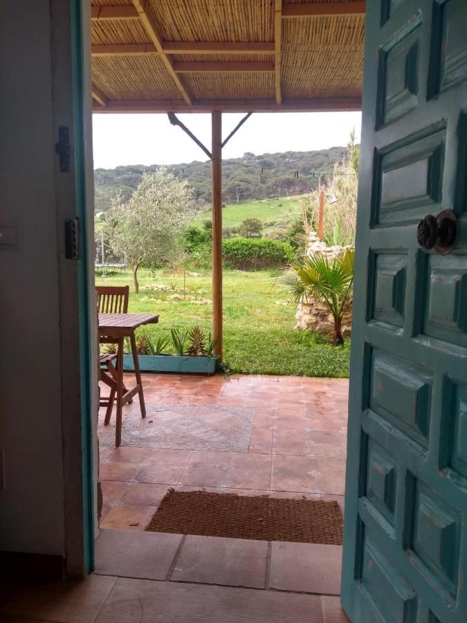شقة Casita La Raiz بارباتي المظهر الخارجي الصورة